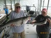 (08/08/2016) - Nice Striped Bass